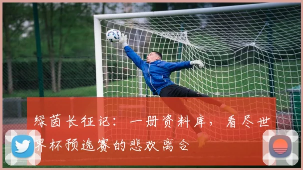 绿茵长征记：一册资料库，看尽世界杯预选赛的悲欢离合
